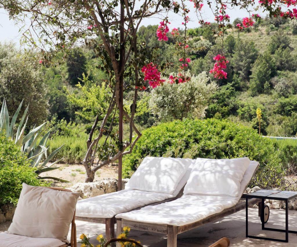 the-thinking-traveller-sizilien-i-lentischi-decohome.de-230_n503