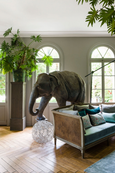 la-divine-comedy-fotos-anthony-lanneretonne-elefant-decohome.de_