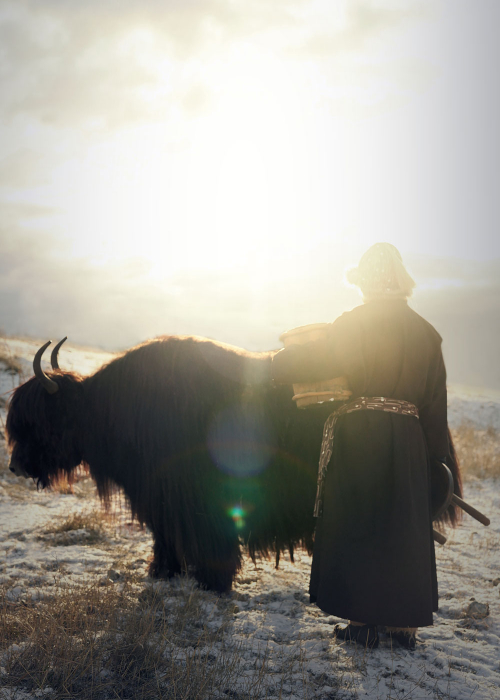 portrait-zakandfox_baatar_roto_hero_decohome.de_