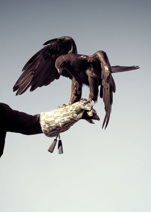 portrait-zakandfox_baatar_sayat_hero-decohome.de_