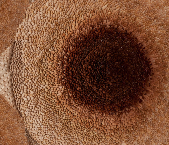 green-product-award-2019-_13rugs_lara_wernert_decohome.de_