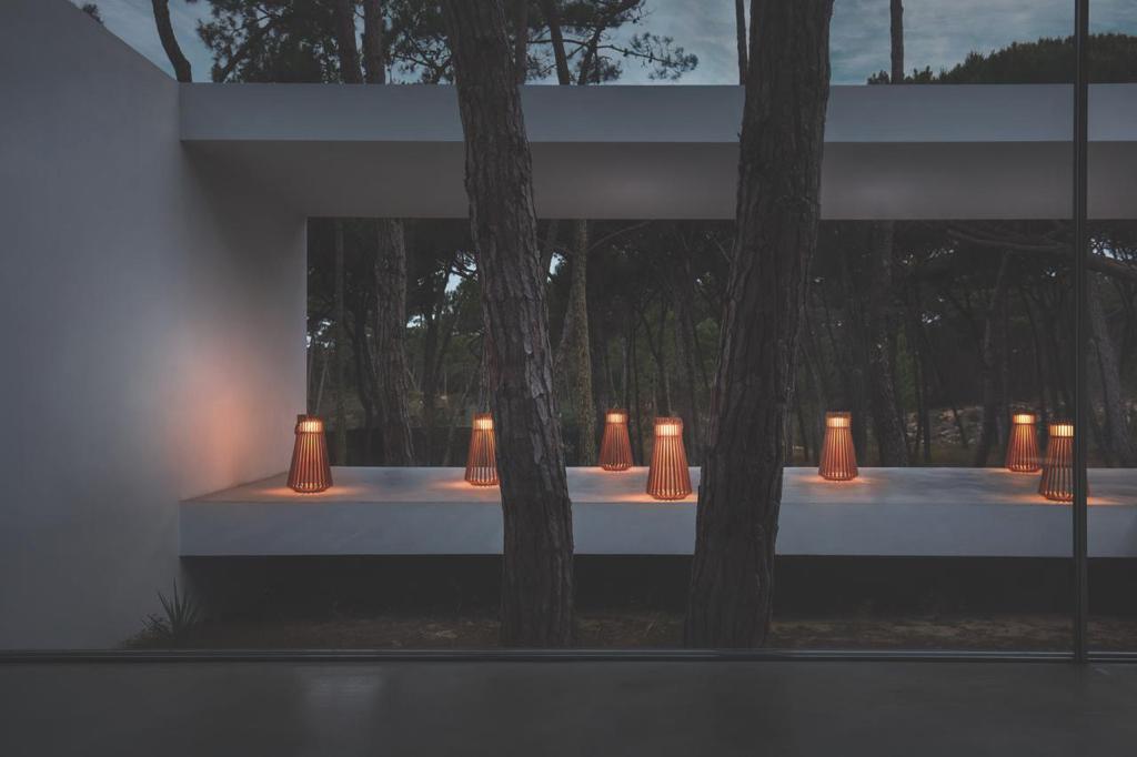 gloster_ambient-rays