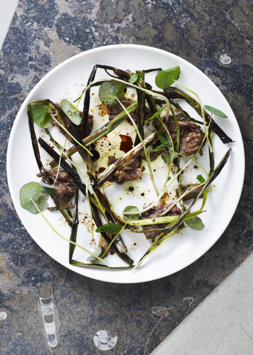 cora-lucaz-kopenhagen-geist-restaurant