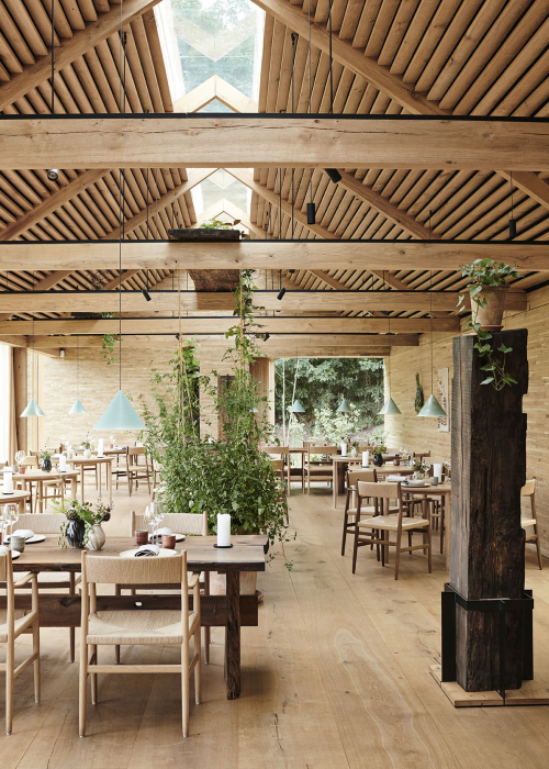 cora-lucaz-kopenhagen-noma-restaurant-decohome.de_
