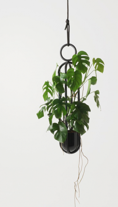 zimmerpflanzen-atelier-haumann-blumenampel-atelierhaussmann-decohome.de-1