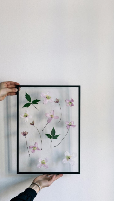 zimmerpflanzen_typeo_moebe_frame_decohome.de-1