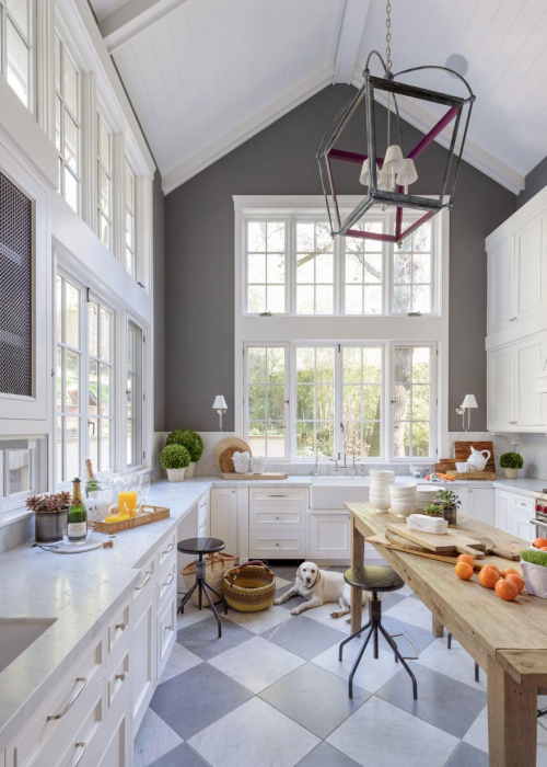 hunde-design-allison-pickart-decohome.de_