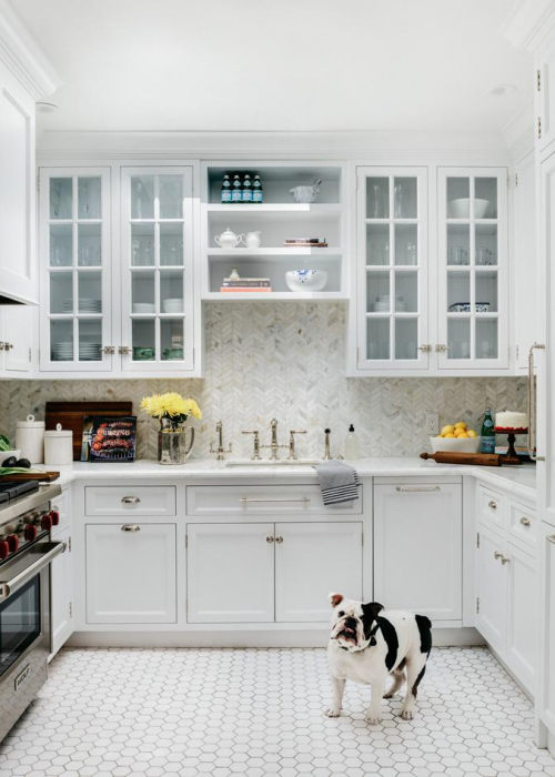 hunde-design-dinabandman2-decohome.de_