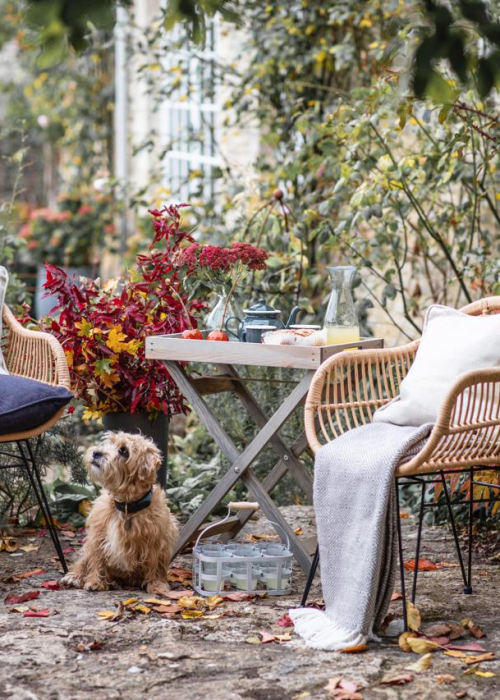 hunde-design-gardentrading-decohome.de_