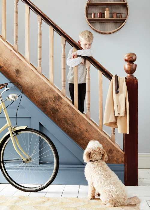 hunde-design-littlegreen-decohome.de_