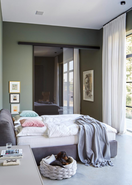 hunde-design-regula-wohnhaus-sabrina-rothe-decohome.de_