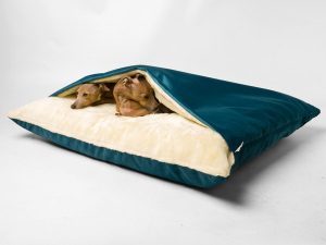 charley chau dog snuggle bed teal 03 grande