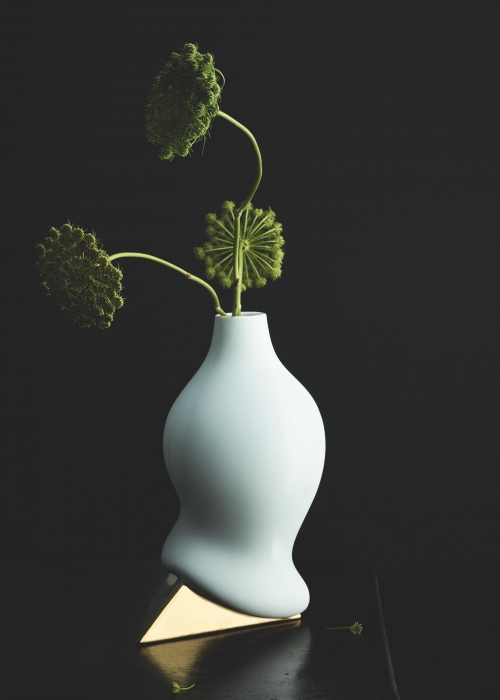 vasen-guide-welche-blume-passt-decohomede-rosenthaljpg