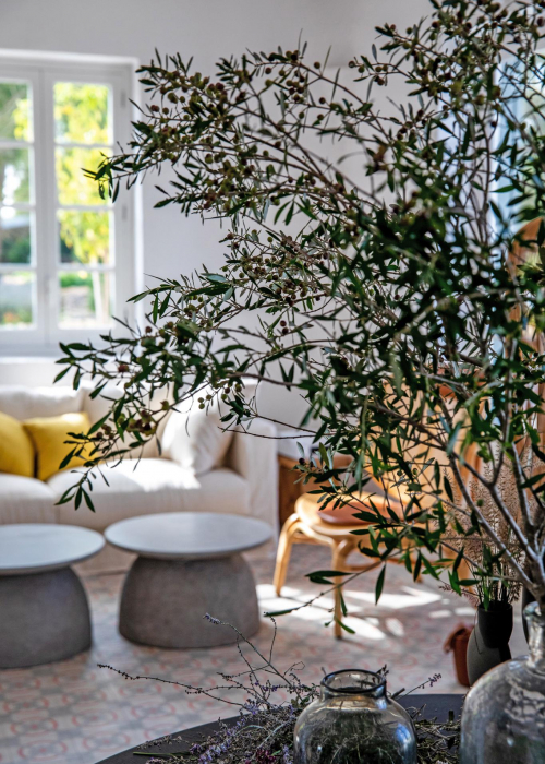 ferienhaus-auf-menorca-es-bec-d-aguila-decohomede-zimmerfplantzen