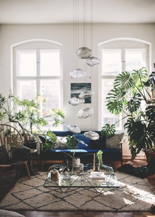plant-tribe_zimmerpflanzen-urban-junge-bloggers_julesvillebrandt_decohome_tim_la_benda