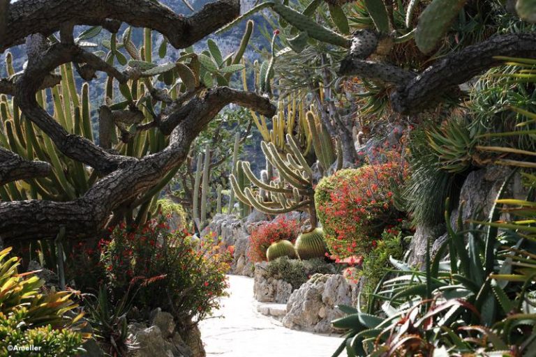 Die schönsten Gartenanlagen rund um den Globus