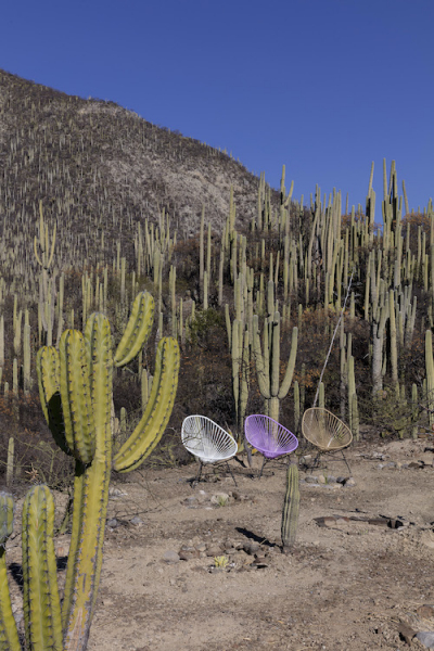 designklassiker outdoor viva mexico chair decohome.de