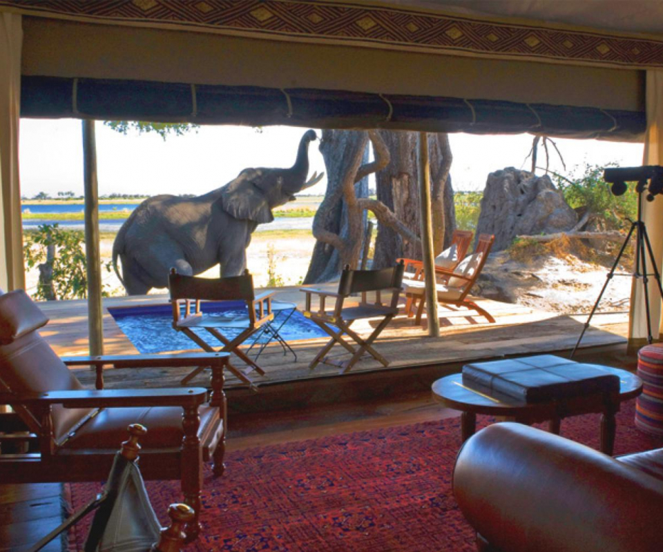 Hotelpools mit Aussicht Copyright Beverly Joubert Zarafa Camp Botswana decohome.de