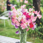 Buchtipp „Flower Girls“: schöne Gartendeko von bekannten Bloggerinnen
