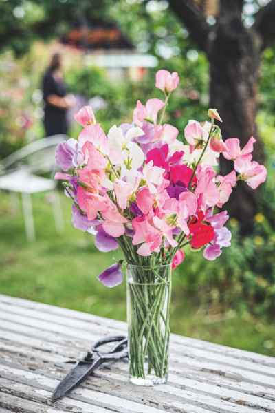 gartendeko flower girls derkleinehorrorgarten decohome.de