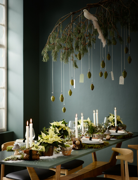 weihnachtssterne tischdeko zweig von oben StarsforEurope decohome.de