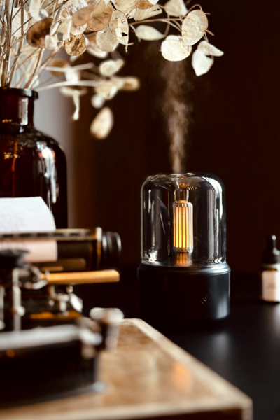 Dr. Horn Labs Diffuser Lampe decohome.de