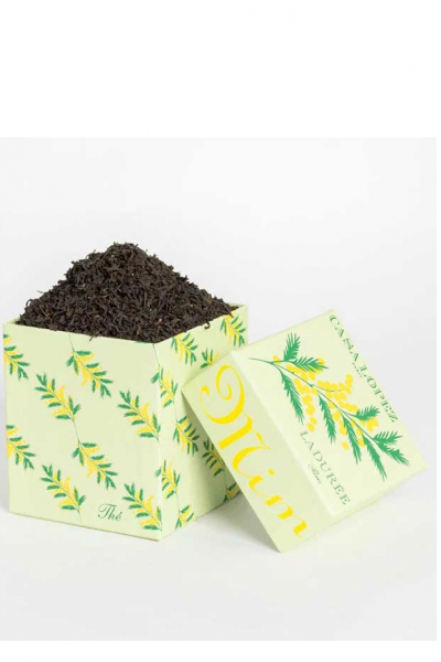 tee mimose darjeeling laduree decohome.de