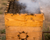 barrocal beekeeping decohome.de