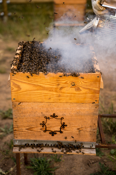 barrocal beekeeping decohome.de