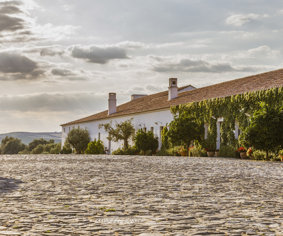 barrocal estate detail view bild ash james decohome.de 1