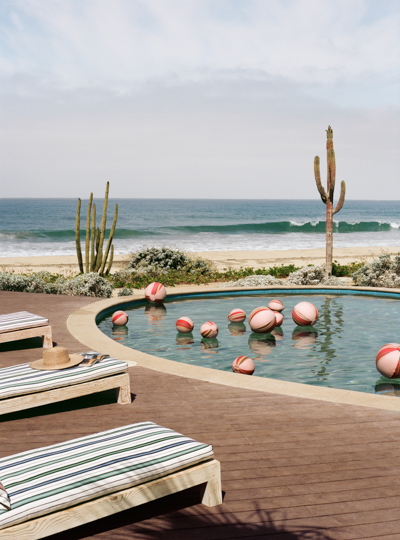 12 Perennials Far West