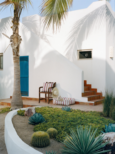 15 Perennials Far West