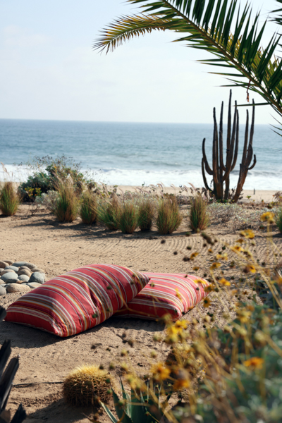 16 Perennials Far West