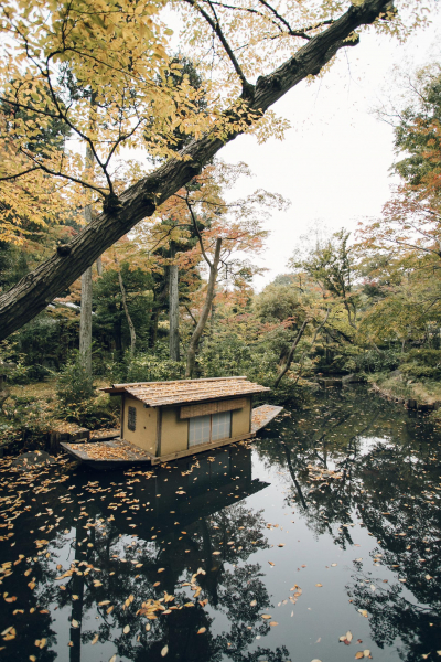 The Avant Gardens Gartenbuecher decohome.de