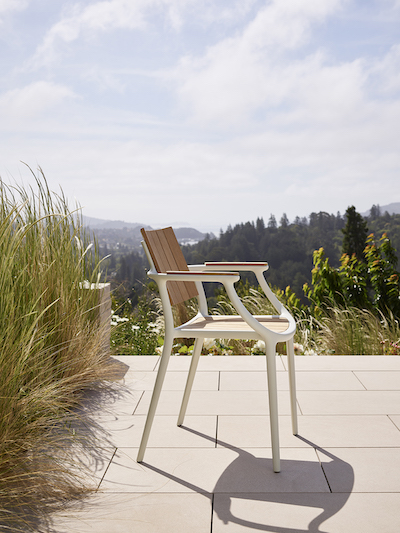 Sutherland Fall 2023 Mill Valley