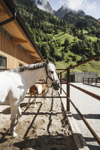 Feuerstein Aussenansicht Reiterhof mit Pferden ©Hannes Niederkofler decohome.de