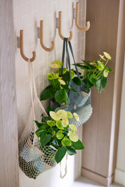 Haengende Anthurien an der Garderobe pflanzenfreude.de decohome
