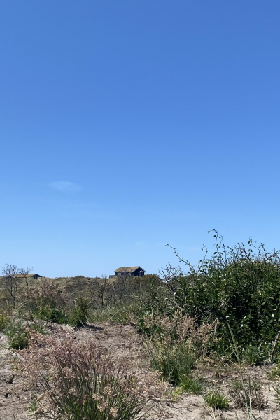 Ferienhaus Nordjuetland Daenemark Design Landfolk Katbakken 6D 9900 Skagen (31 of 151) decohome.deIMG 1716