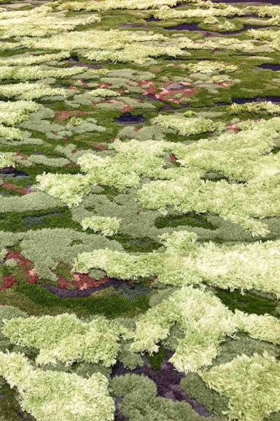 Mysterious Moss Planet Earth Collection © Tapis Rouge Teppich decohome.de
