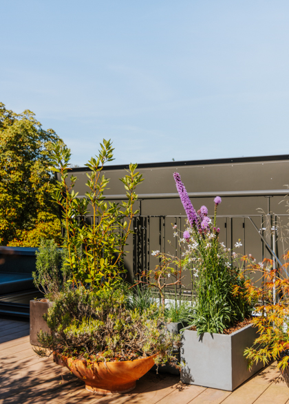 dachterrasse berlin decohome.de