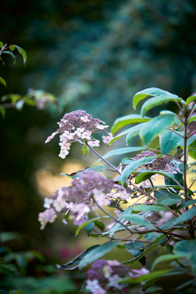 homestory schloss Glin Castle DECO HOME OUTDOOR decohome.de