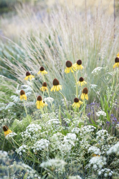Beet Staudengärtnerei S Rothe decohome.de