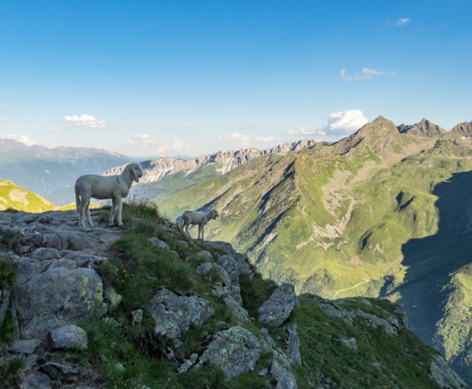 Bergidylle Feuerstein Nature Family Resort decohome.de