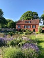 Garten Weissenhaus decohome.de