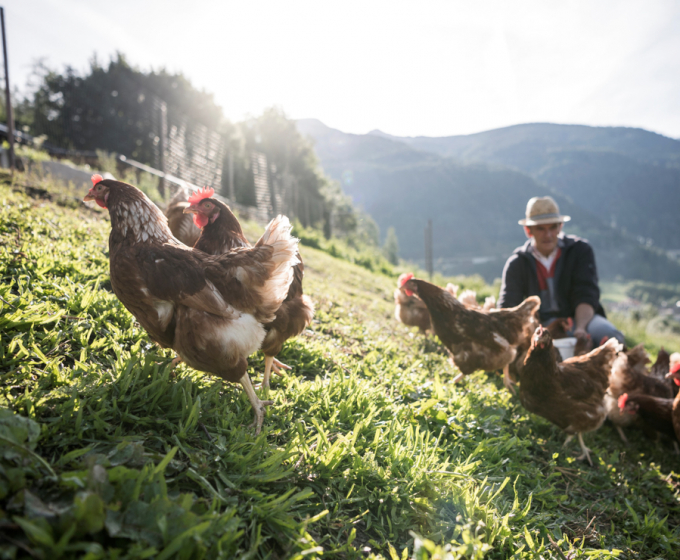 farm to table Feuerstein Nature Family Resort ph Alex Filz decohome.de
