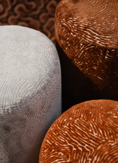 Harlequin HenryHolland Boneski 134211 02