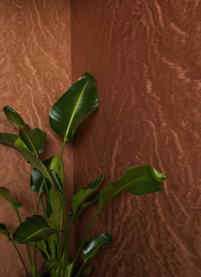 marburg ECLECTIC 20 (Kopie)Moire Stoffkunde Muster Tapete decohome.de