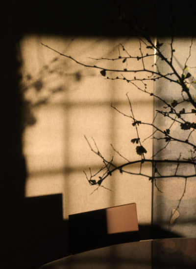 Wandverkleidungen TP GLAMORA L12 decohome.de