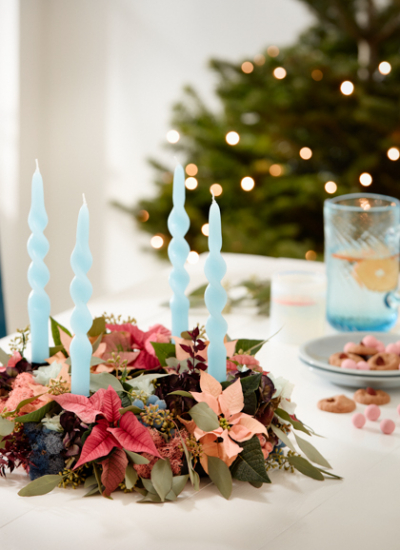 SfE 2024 Poinsettia 02000 Modern Vintage Fusion 06