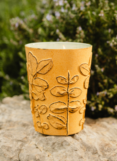 Baobab 20241116 0285 decohome.de